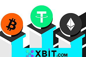 Xbit平台注册全流程解析:难点与注意事项