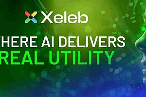 Xeleb Protocol(XCX币)是什么?怎么样?XCX代币价格预测