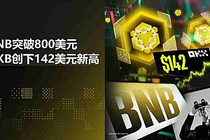 CEX代币突破:BNB突破800美元,OKB创下142美元新高