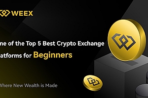 Weex交易所官网  Weex交易所官网注册指南