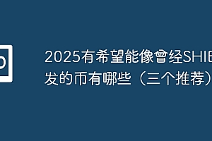 2025有希望能像曾经SHIB爆发的币有哪些(三个推荐)