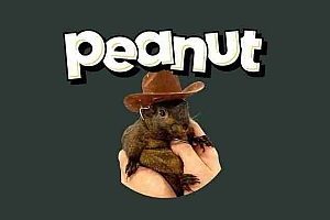 松鼠币(PNUT)是什么?能否达到$10?PNUT币价格预测
