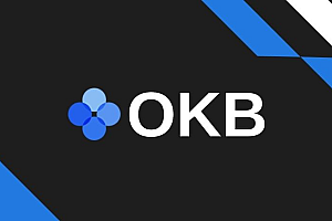 OKB销毁后价格飙涨,涨势会持续多久?OKB币会突破300美元吗?