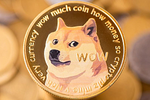 狗狗币在哪个交易所交易好_狗狗币交易平台推荐