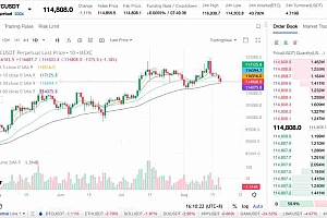 比特币会在9月见顶吗?投资者该如何应对?一文解析