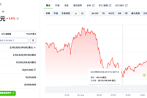 比特币跌破 11 万美元,以太坊跌幅达 5–8%