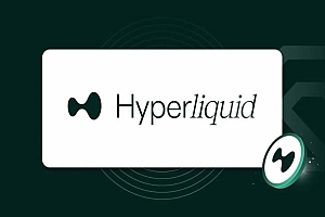 HyperLiquid(HYPE)币是什么?2025-2050年HYPE币价格预测