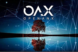 OAX币前景潜力怎么样?OAX币投资价值分析