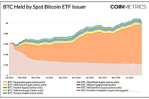 比特币未来挑战分析:BTC需求增长 Vs. 网络活跃度不足