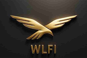 WLFI 代币上线在即:您需要了解的有关其发行和治理的一切