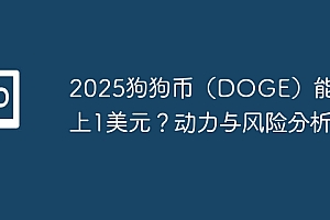 2025狗狗币(DOGE)能不能上1美元?动力与风险分析