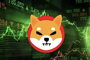 SHIB币的历史价格走势是怎样的?