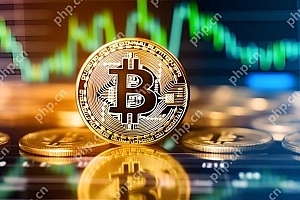 比特币最新价格美元查看app 比特币今日行情价格免费软件2025