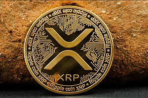 瑞波币生态缺点有哪些 2025瑞波币生态缺点分析