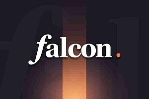 Falcon Finance(FF)币是什么?值得投资吗?FF代币社区销售与风险性分析