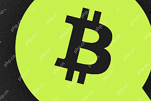 如何查询山寨币实时价格?最靠谱行情查询平台推荐