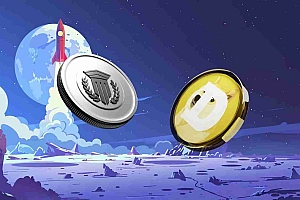狗狗币、DeFi 币与聪明资金:阿尔法在哪里?