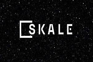 SKALE (SKL) 币是什么?怎么买?SKL特点、未来展望及价格预测
