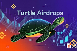 Turtle(TURTLE)将在10月22日上线币安HODLer空投