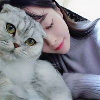 我愿意为你清新情侣头像