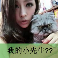 专属我的幸福qq头像