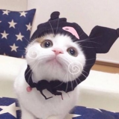 猫咪情头可爱一对