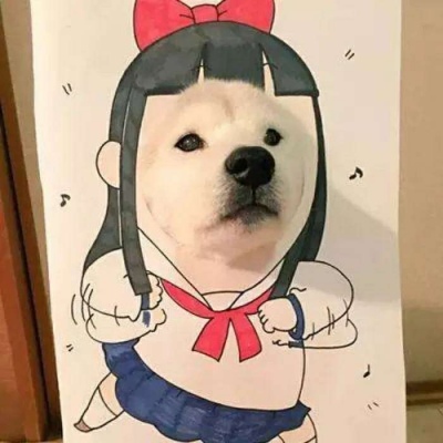 沙雕情侣头像大波来袭