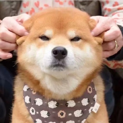 全网超可爱情头