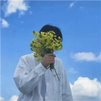 我掀起山河奔向你简单清新情侣头像
