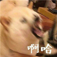 沙雕情侣搞怪头像