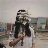 文艺好看情侣头像