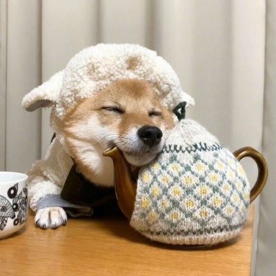 微信可爱狗狗头像蠢萌 柴犬可爱头像适合闺蜜情侣