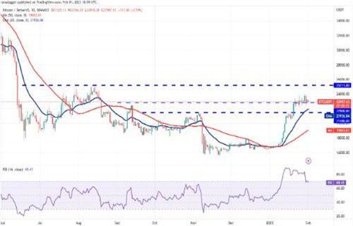 比特币最新价格行情 BTC今日最新价格-第3张图片-欧意交易所