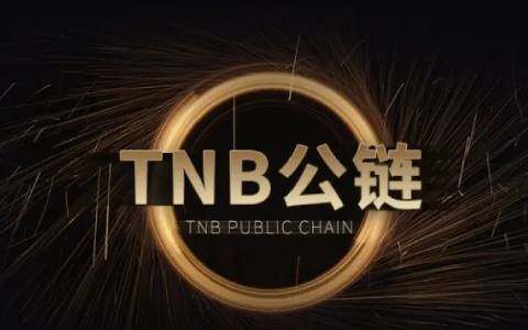 国内虚拟币平台有哪些？目前中国可以用的虚拟币交易平台-第5张图片-欧意交易所