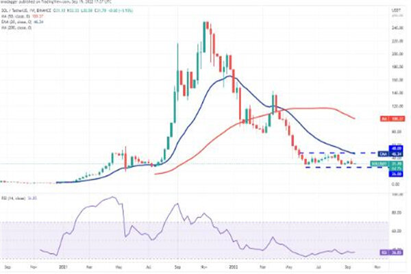 sol币今日最新价格 索拉纳币最新行情消息-第2张图片-欧意交易所