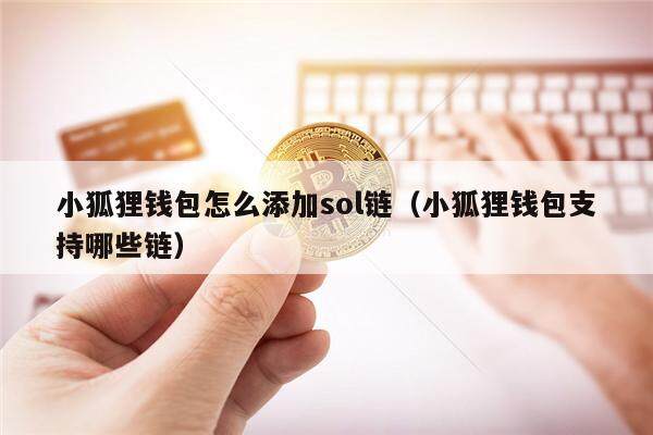 小狐狸钱包怎么添加sol链（小狐狸钱包支持哪些链）-第1张图片-欧意交易所