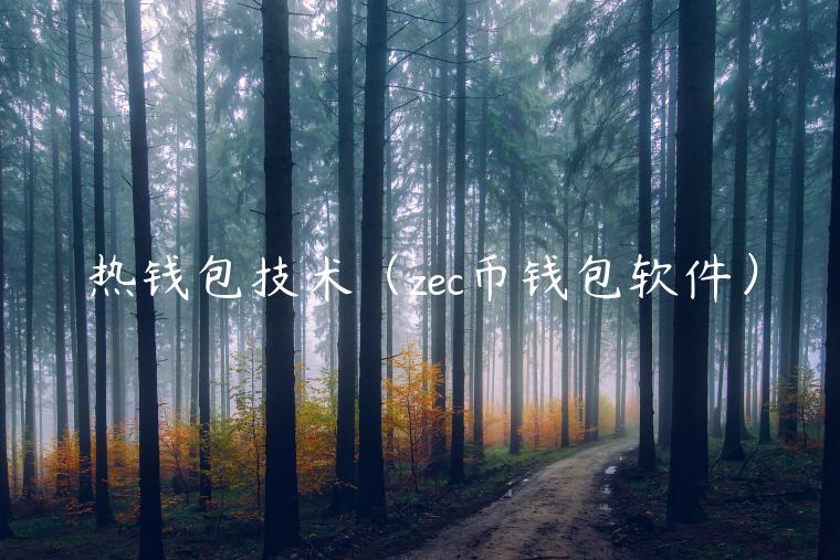 热钱包技术（zc币钱包软件）-第1张图片-欧意交易所