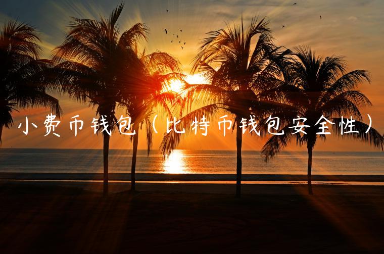 小费币钱包（比特币钱包安全性）-第1张图片-欧意交易所