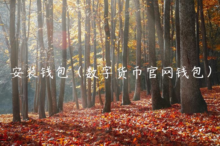 安装钱包（数字货币官网钱包）-第1张图片-欧意交易所