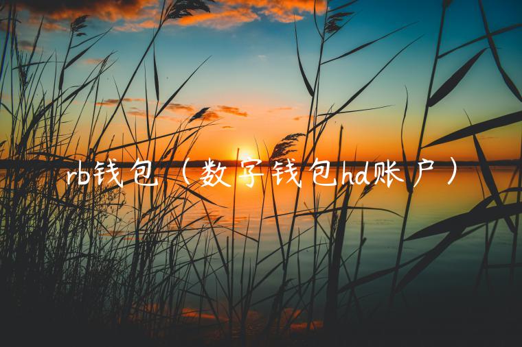 rb钱包（数字钱包hd账户）-第1张图片-欧意交易所