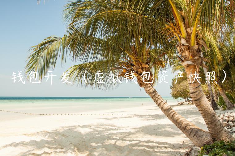 钱包开发（虚拟钱包资产快照）-第1张图片-欧意交易所