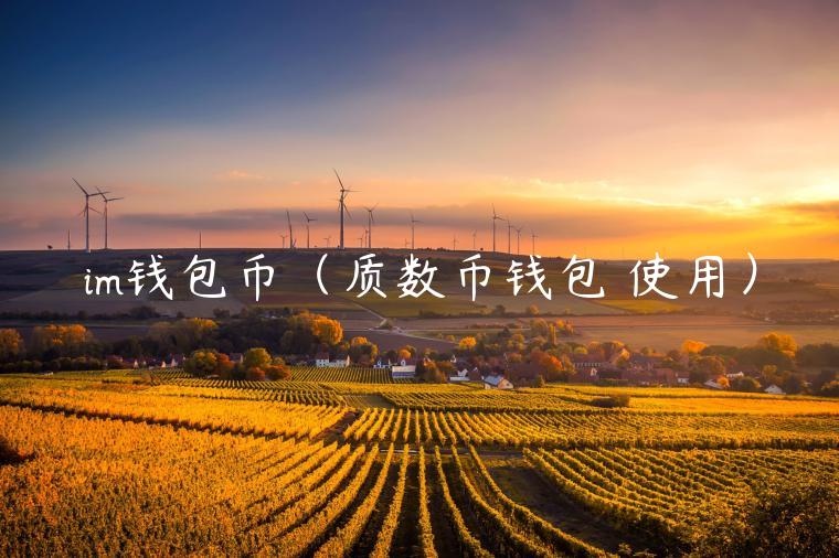 im钱包币（质数币钱包 使用）-第1张图片-欧意交易所