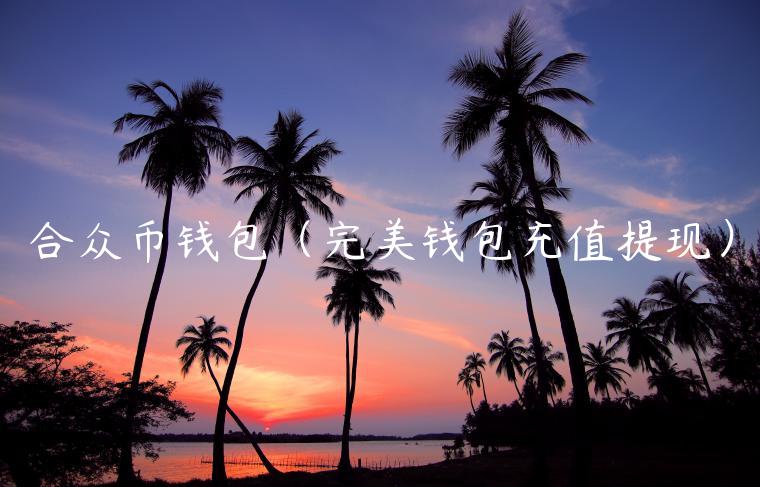 合众币钱包（完美钱包充值提现）-第1张图片-欧意交易所