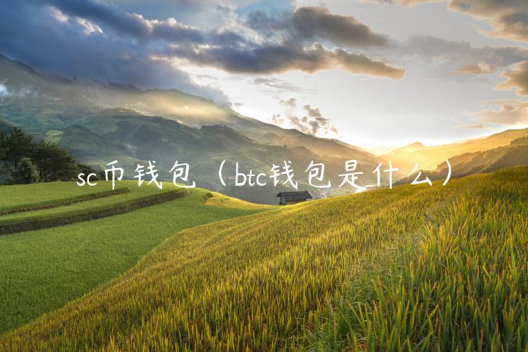 sc币钱包（btc钱包是什么）-第1张图片-欧意交易所