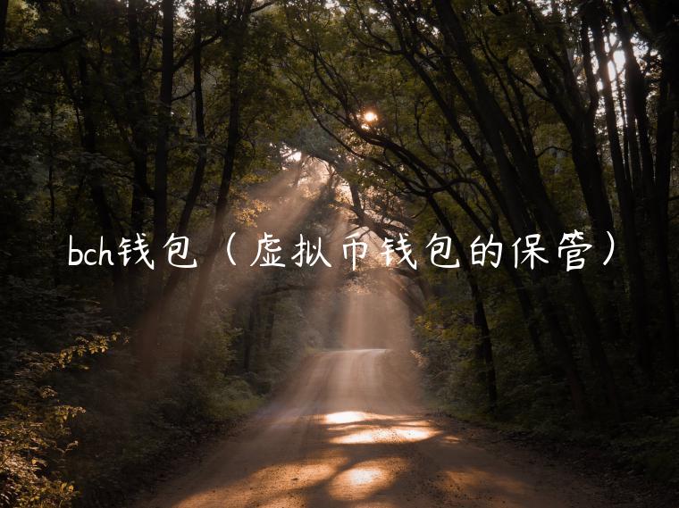 bch钱包（虚拟币钱包的保管）-第1张图片-欧意交易所