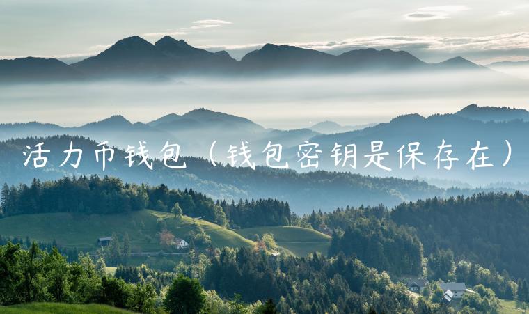 活力币钱包（钱包密钥是保存在）-第1张图片-欧意交易所