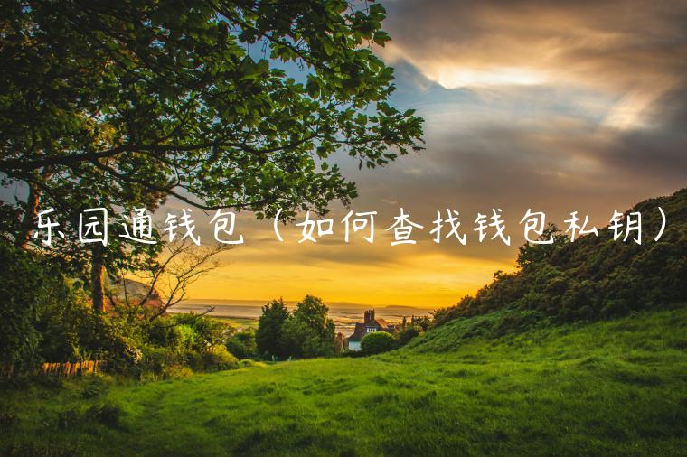 乐园通钱包（如何查找钱包私钥）-第1张图片-欧意交易所