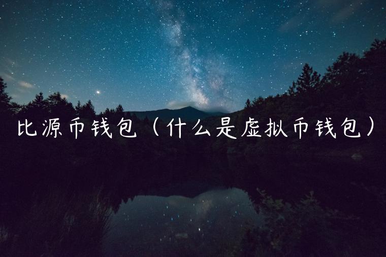 比源币钱包（什么是虚拟币钱包）-第1张图片-欧意交易所