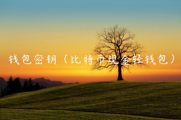 钱包密钥（比特币现金轻钱包）-第1张图片-欧意交易所