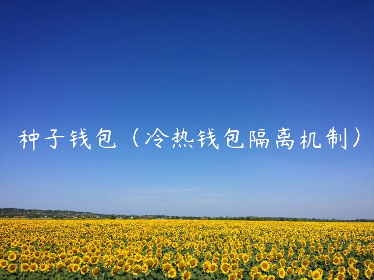 种子钱包（冷热钱包隔离机制）-第1张图片-欧意交易所